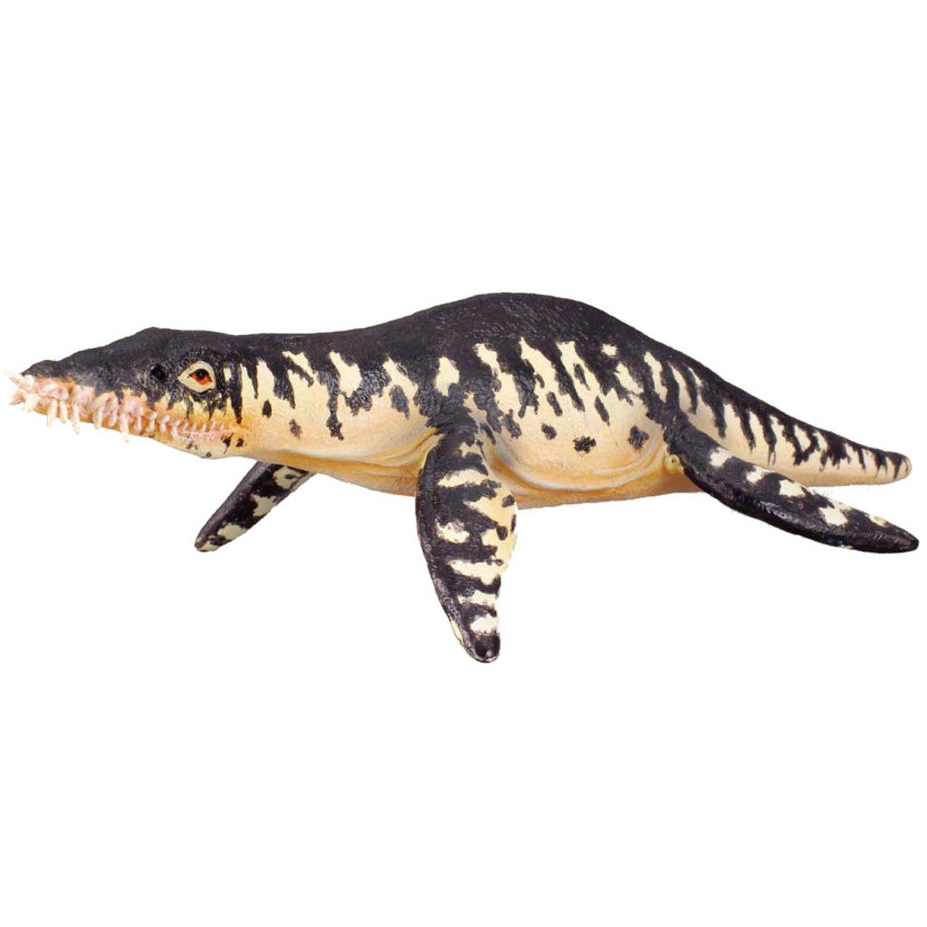 Collecta Dinosaur Liopleurodon