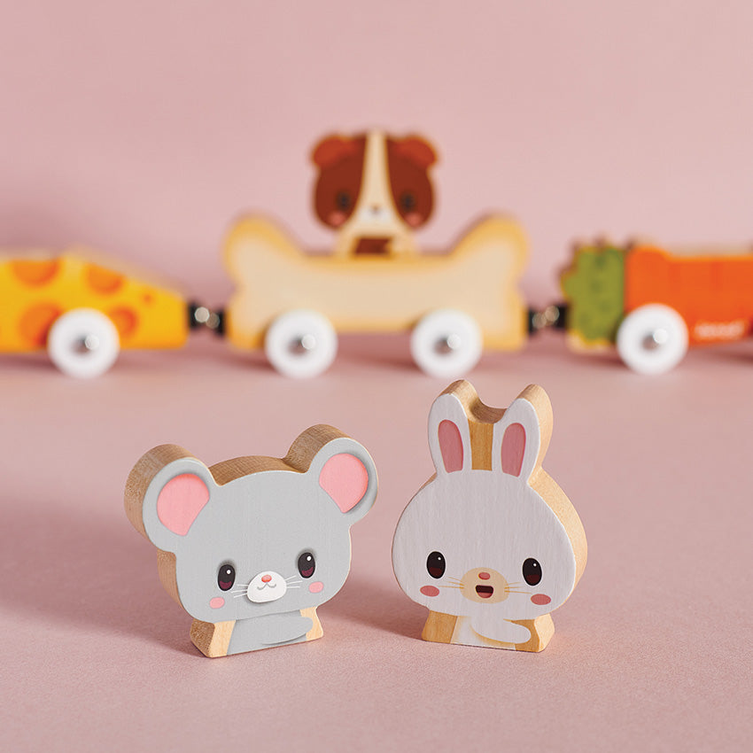 Janod Magnetic Pets