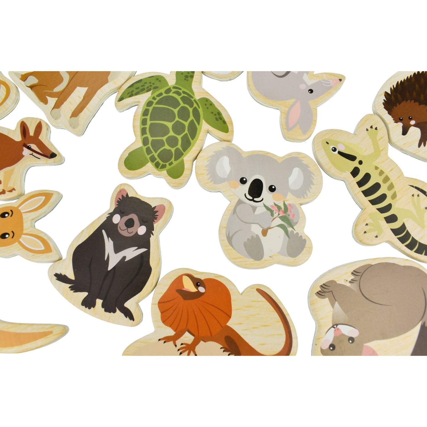 Koala Dream Fridge Friends Australian Animals