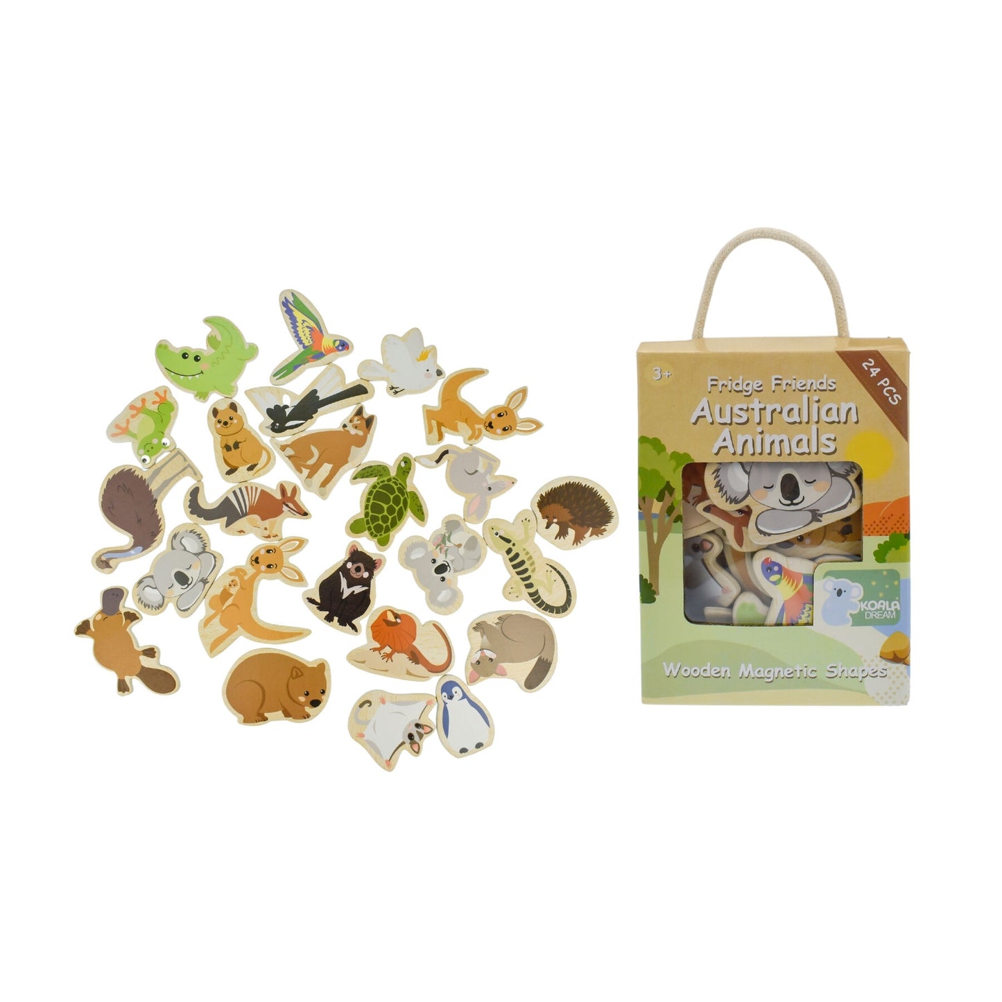 Koala Dream Fridge Friends Australian Animals