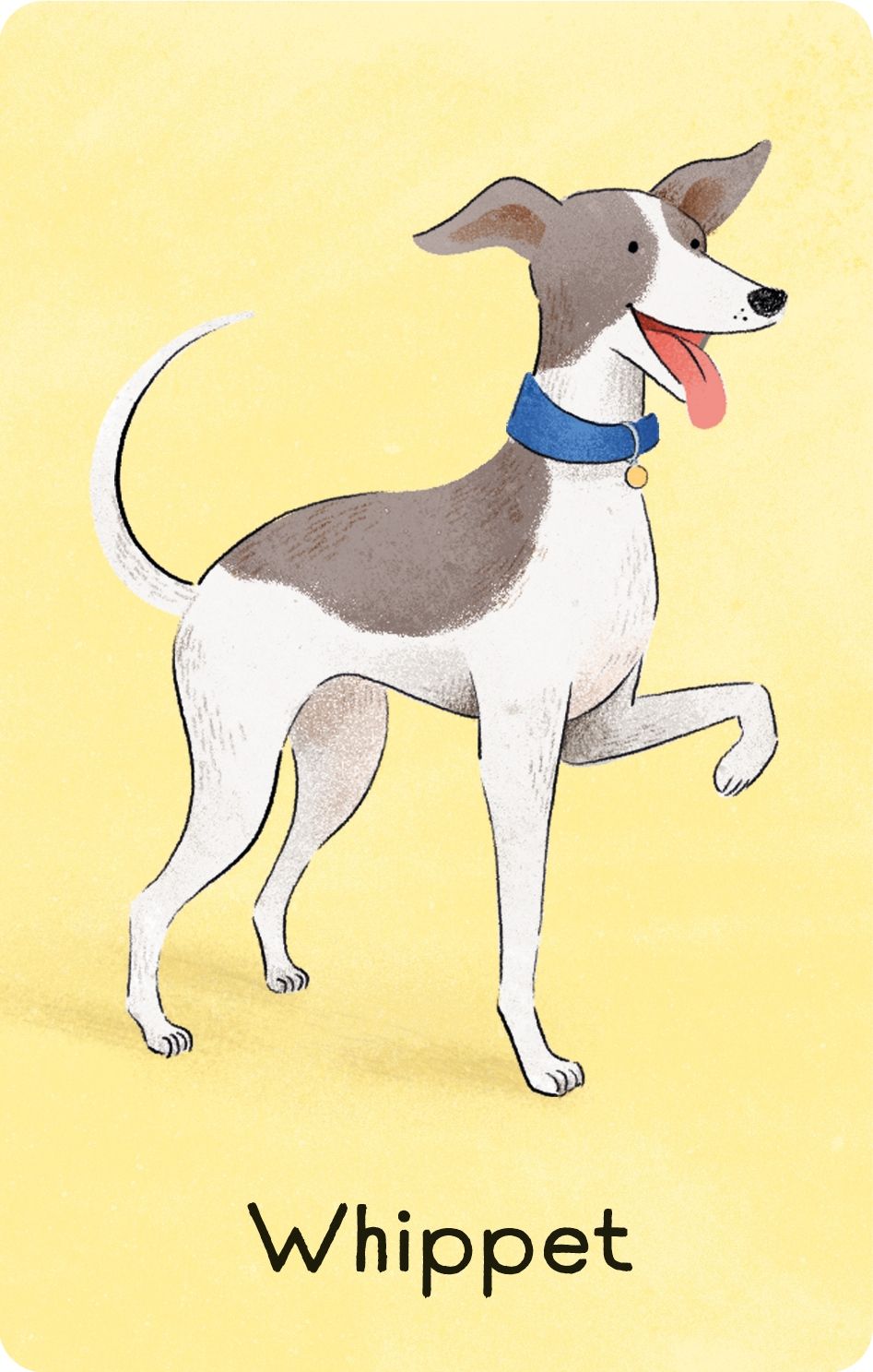 Usborne Snap Card Game Dogs