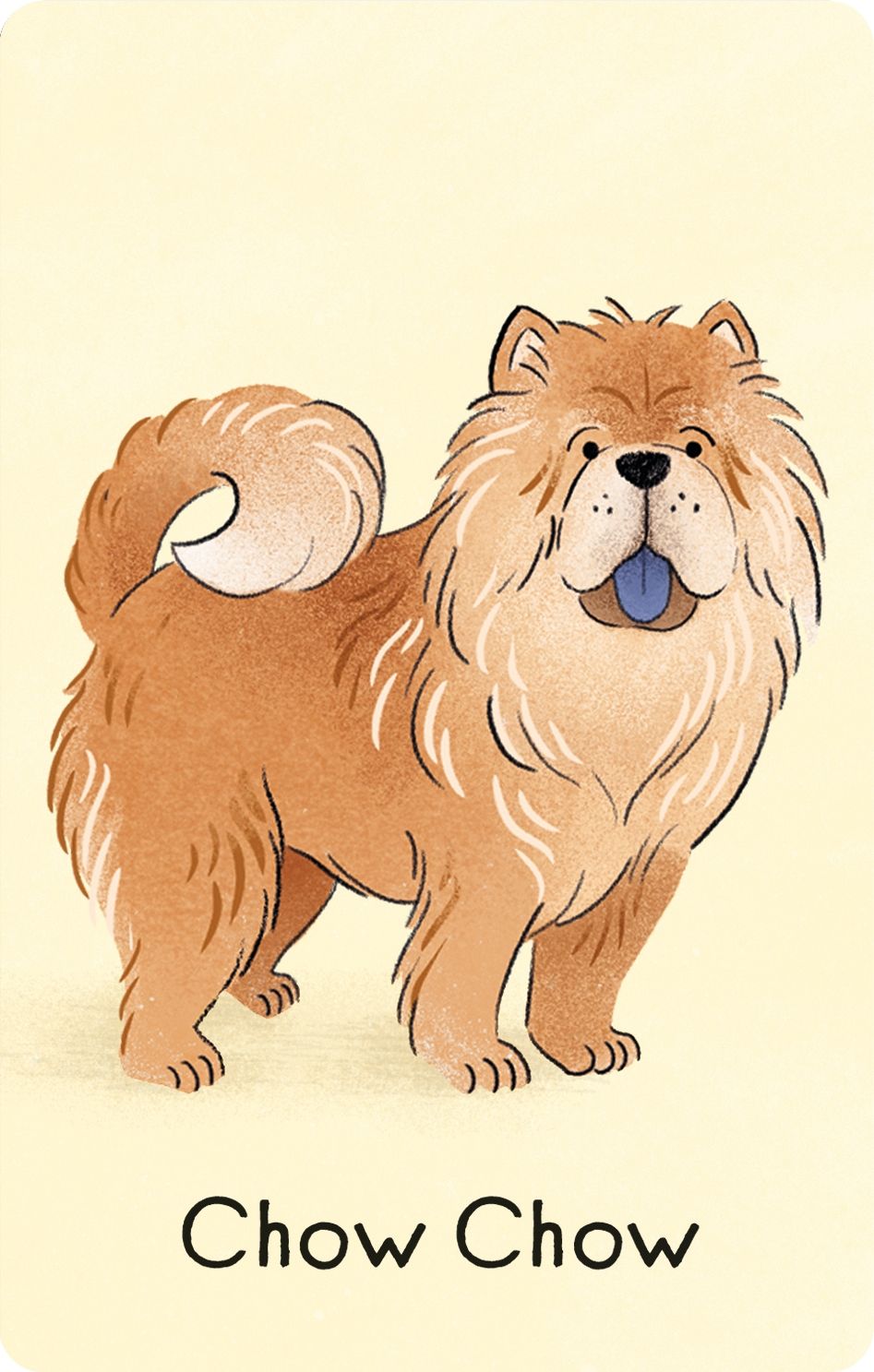 Usborne Snap Card Game Dogs