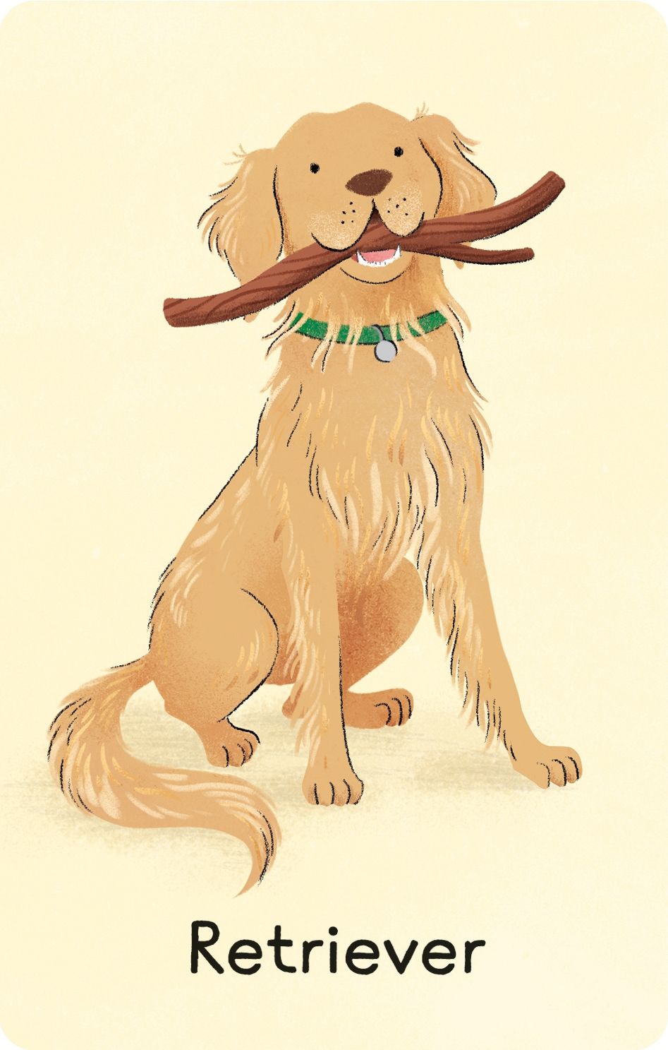 Usborne Snap Card Game Dogs