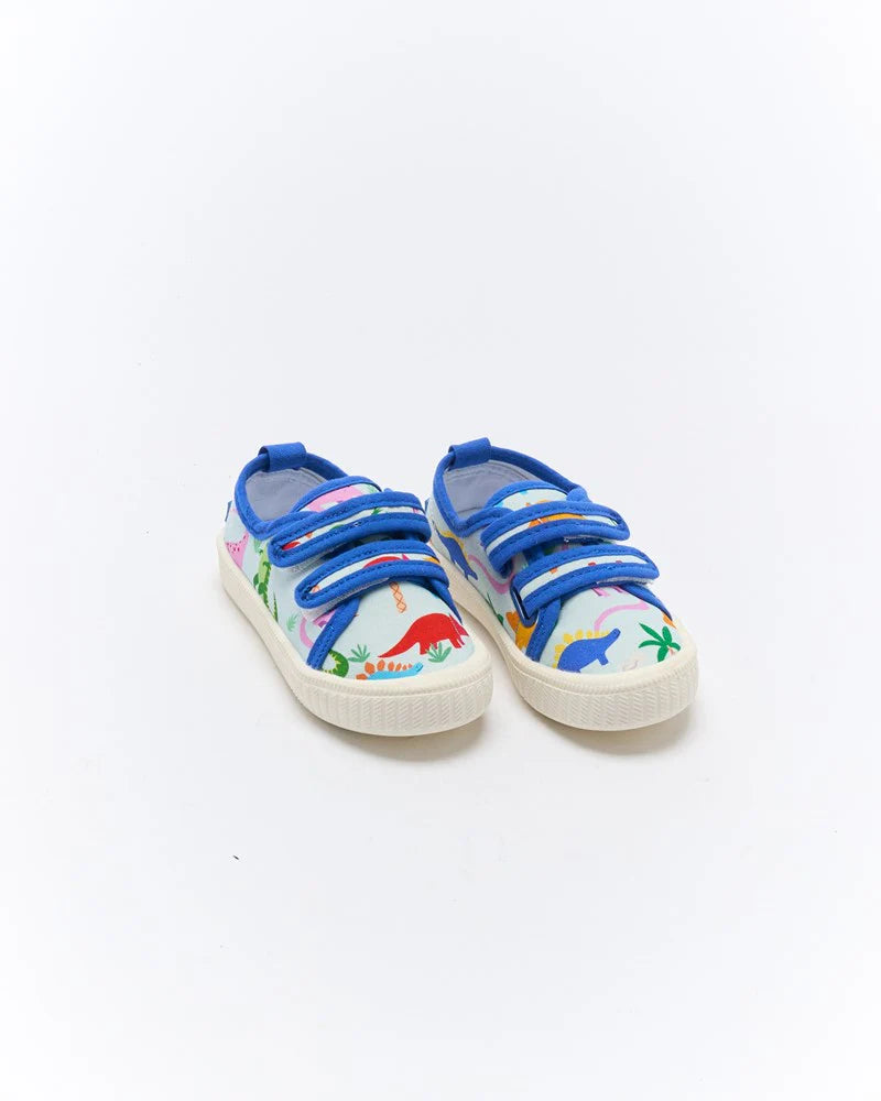 Walnut Canvas Ben Rainbow Dino