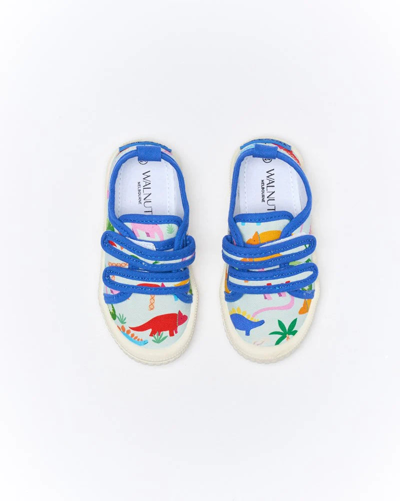 Walnut Canvas Ben Rainbow Dino