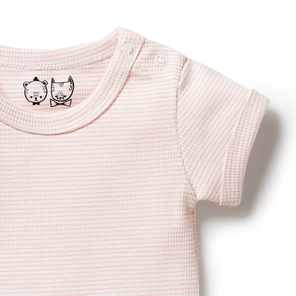 Wilson + Frenchy Organic Stripe Rib Bodysuit Cantaloupe