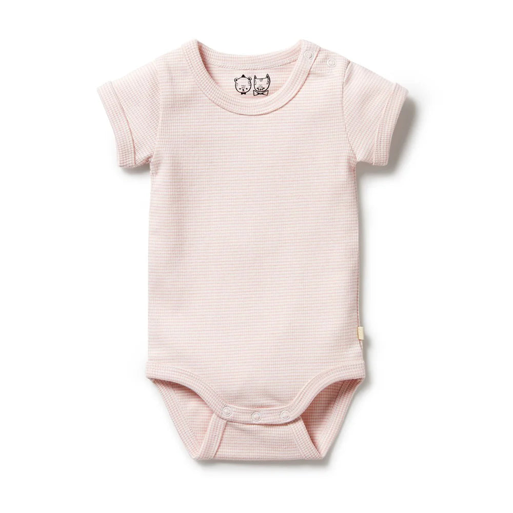 Wilson + Frenchy Organic Stripe Rib Bodysuit Cantaloupe