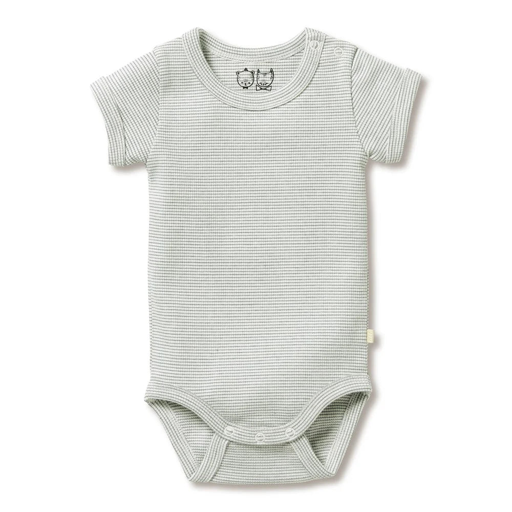 Wilson + Frenchy Organic Stripe Rib Bodysuit Fern