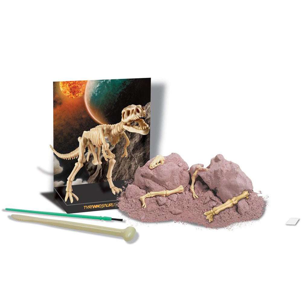 4m dig a dinosaur tyrannosaurus rex - Chalk