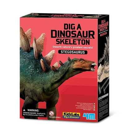 4M Dig A Dinosaur Stegosaurus - Chalk