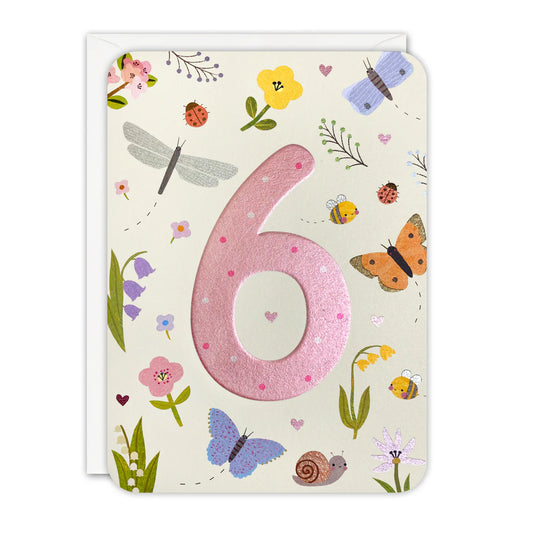 James Ellis Happy Birthday Card Age 6 Butterflies