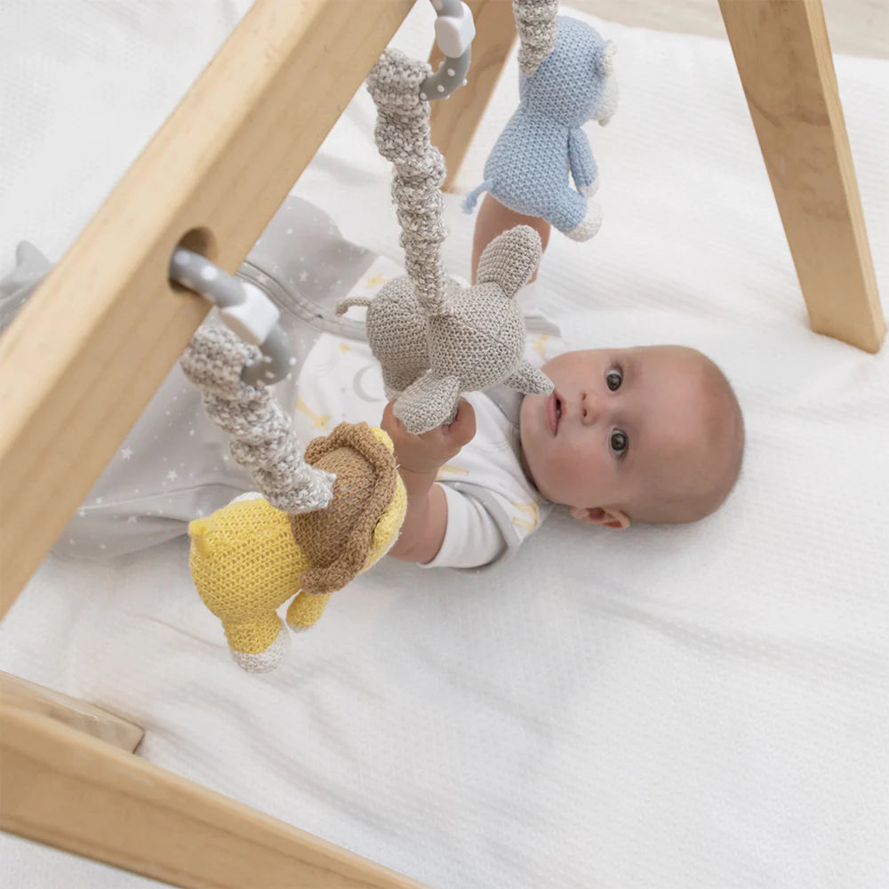Living Textiles Stroller Toys Zebra & Lion - Chalk