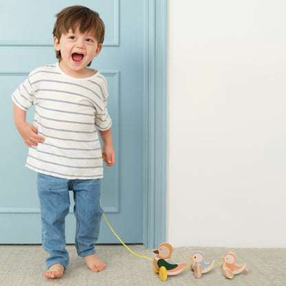 Classic World Pull Ducks