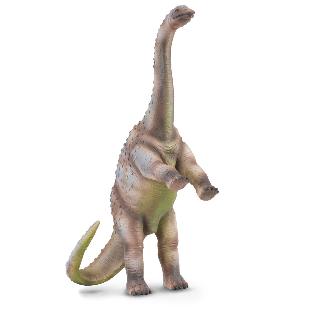 Collecta Dinosaur Rhoetosaurus