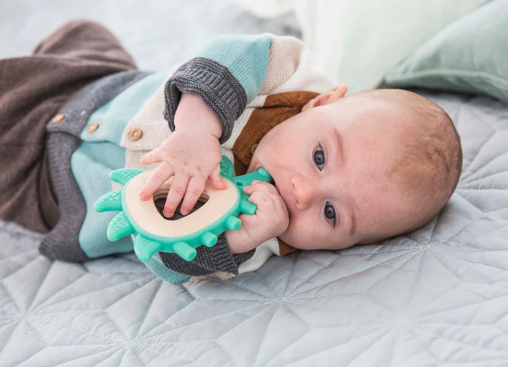 Hape Teether Hedgehog - Chalk