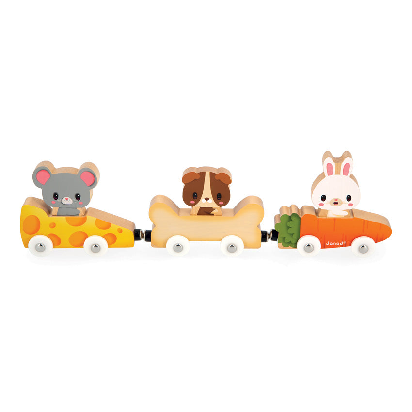 Janod Magnetic Pet Cars