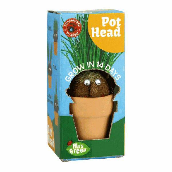 Mrs Green Pot Head