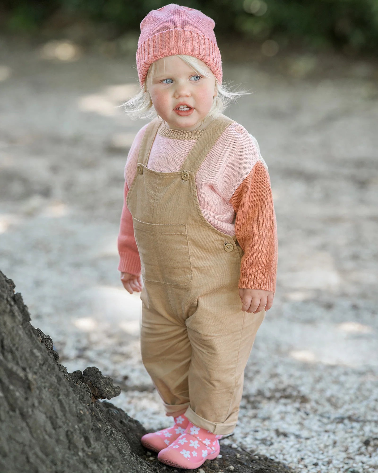 Toshi Pullover Bobby Misty Rose - Chalk
