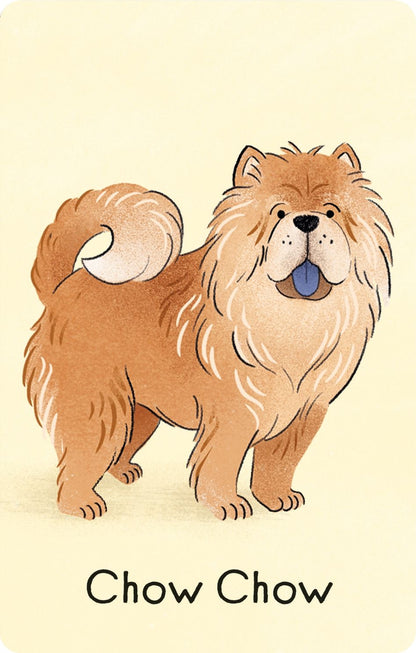 Usborne Snap Card Game Dogs