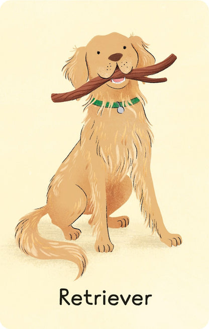 Usborne Snap Card Game Dogs