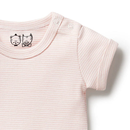 Wilson + Frenchy Organic Stripe Rib Bodysuit Cantaloupe