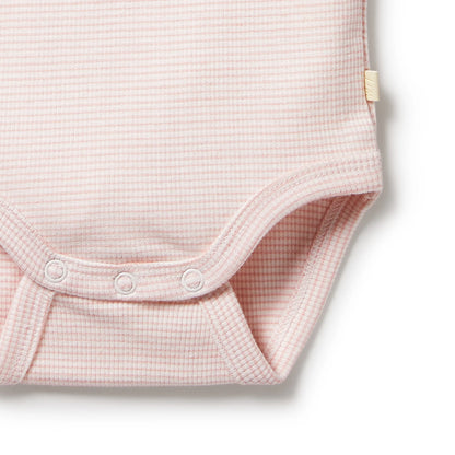 Wilson + Frenchy Organic Stripe Rib Bodysuit Cantaloupe