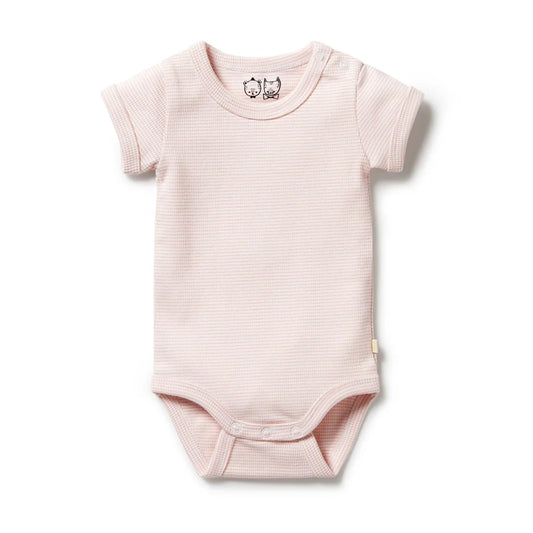Wilson + Frenchy Organic Stripe Rib Bodysuit Cantaloupe