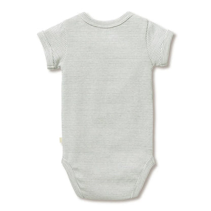 Wilson + Frenchy Organic Stripe Rib Bodysuit Fern