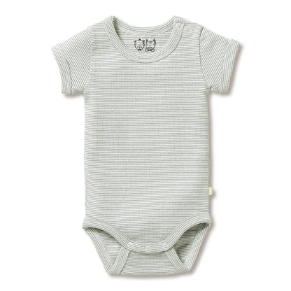 Wilson + Frenchy Organic Stripe Rib Bodysuit Fern