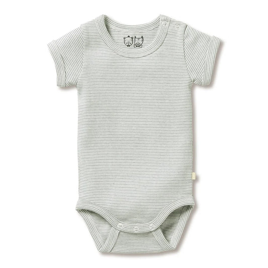 Wilson + Frenchy Organic Stripe Rib Bodysuit Fern