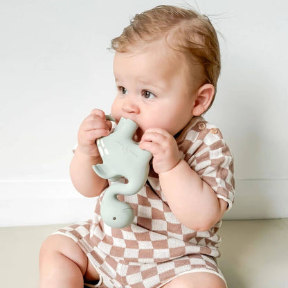 Winnie Parkes Teether Diplo Sage