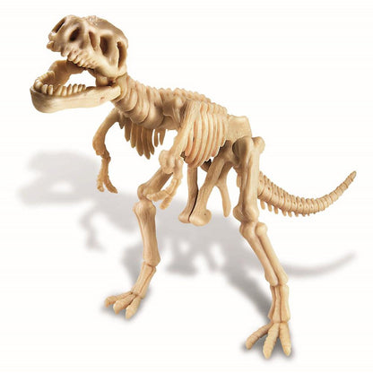 4m dig a dinosaur tyrannosaurus rex - Chalk
