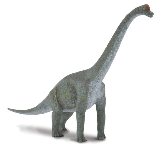 Collecta Dinosaur Brachiosaurus - Chalk