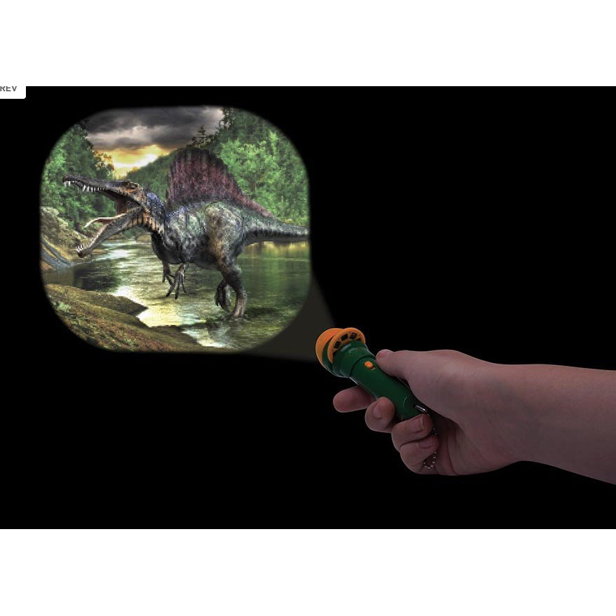 IS torch projector dinosaurs - Chalk